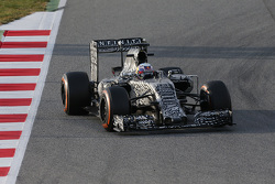 Daniel Ricciardo, Red Bull Racing RB11