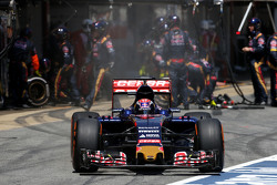 Макс Ферстаппен, Scuderia Toro Rosso