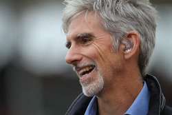 Damon Hill, Sky-Sports-Experte