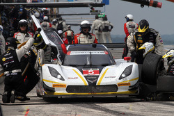#5 Action Express Racing Corvette DP: Joao Barbosa, Christian Fittipaldi