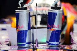 Daniel Ricciardo, Red Bull Racing RB11 with drinks bottles