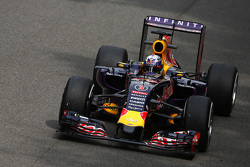 Даниэль Риккардо, Red Bull Racing RB11