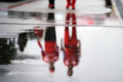 A wet and rainy paddock