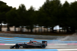 Stoffel Vandoorne, McLaren MP4-30