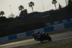 Tom Sykes, Kawasaki Ninja ZX-10R