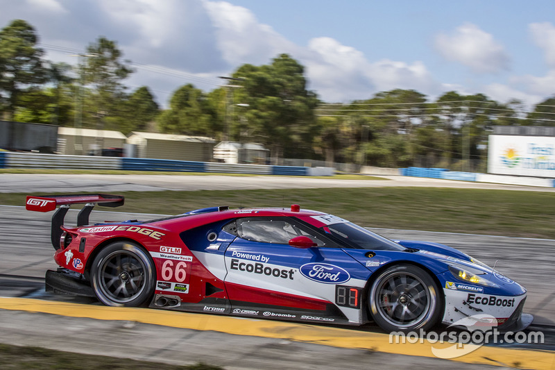 #66 Ford Performance Chip Ganassi (GTLM)