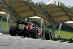 Jaime Alguersuari, Scuderia Toro Rosso-Ferrari